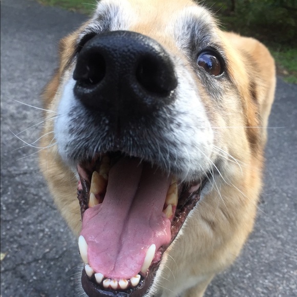 Meet your Posher, Kaitlyn - Picture 5 of 8